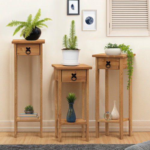 Corona plant stands - plant,